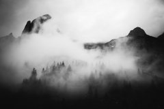 山林中的雾图片