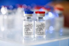 中国新冠疫苗9月上市