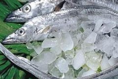 印尼进口带鱼品牌有哪些