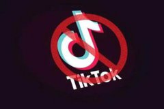 美联邦法官暂时叫停对TikTok禁令