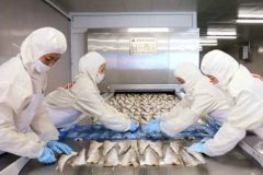 安徽进口冻虾新冠病毒检出阳性-进口海鲜外包装检出新冠病毒