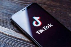 TikTok粉丝给特朗普竞选App刷差评-TikTok总部迁至伦敦