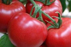 西红柿能放冰箱冷冻保存吗