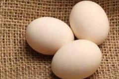 公鸡蛋和母鸡蛋的区别